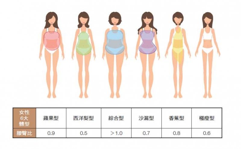 你真的認識自己的 體型 與 脂肪堆積型態 嗎 請用這 4大象限 來評估 Cook1cook食譜話題