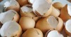 雞蛋殼不要丟，零成本100%天然好肥料！