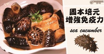 簡單實用，營養不流失，１０款家常海參食譜，滋補，宴客一流！