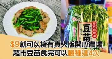 $9就可以擁有真人版開心農場 超市豆苗食完可以翻種達4次 (附豆苗食譜)