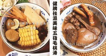 祛濕補氣不上火，６款惹味下飯，健脾胃五指毛桃湯水食譜！