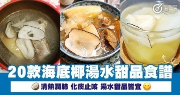 20款海底椰湯水甜品食譜  清熱潤肺 化痰止咳 湯水甜品皆宜