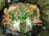 荷葉焗蟹糯米飯