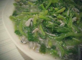 莧菜魩仔魚羹【澎湖野生水產】