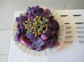 藤椒(新鮮花椒)紫高麗菜