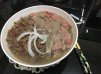 越式牛肉湯河