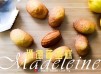 貝殼餅 瑪德蓮蛋糕  經典法式甜品