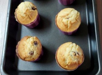蔓越莓muffin