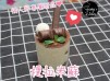 提拉米蘇Tiramisu