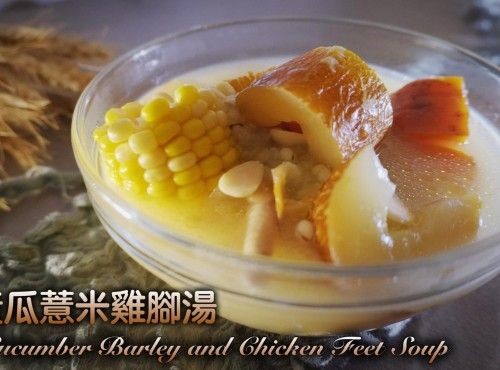 [4K影片] 湯水食譜 | 老黃瓜薏米雞腳湯 Old Cucumber Barley and Chicken Feet Soup