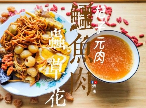 湯水篇｜鱷魚肉 蟲草花 元肉杞子湯 養肺 寧神 補氣