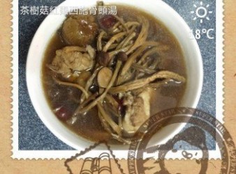 茶樹菇紅棗西施骨頭湯