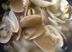 花蛤籮白麵士湯
