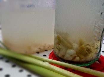 cici靚靚美白水: 香茅青檸薏米水