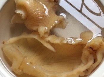 您好！請問您我是照著您方式去發花膠。為什麼發出來不像您的是白色？