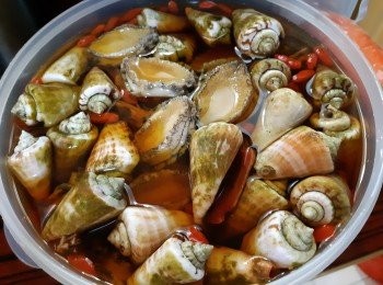 交功課加埋蝦同跳螺！