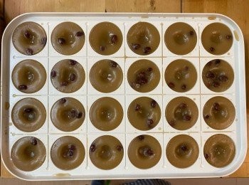 #交功課 
如果無砵仔，呢個小丸子鍋真係好啱用??