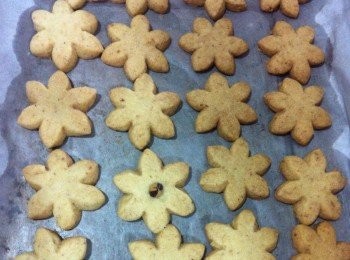 goodo(￣▽￣)d，tq