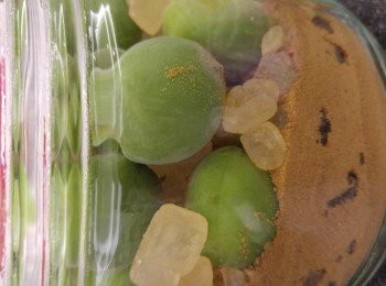 step7: 用一層糖一層梅方法浸酒。