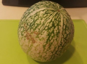 step1: 魚翅瓜洗淨，切去頂部及底部，一開4份