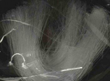 step1: 先把粉絲浸水15分鐘，然後稍微切斷備用。