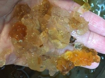 step2: 浸發好後挑走雜質後清洗乾淨，隔水備用