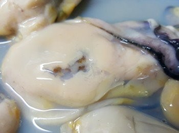 step3: 廣島蠔洗淨後，用廚紙吸乾水份。