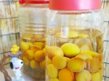 step7: 放陰暗處，釀製半年至一年。