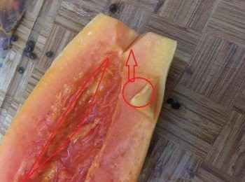 step2: 再去白色的嚢,去皮切件，南北杏洗淨待用