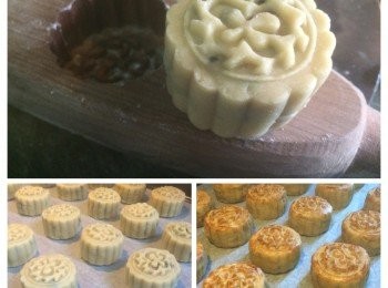 step2: 材料餡:
 
松子仁 杏仁(有皮) 花生 黑芝麻 

瓜子仁 合桃 共180G
糖冬瓜70G
金莘火腿80G⋯⋯
 熟麵粉70G
 糕粉(熟糯米粉)130G
 金獅糖膠90G
 生油50G
 涼開水60G 

另:
 
蛋黃(掃面用)