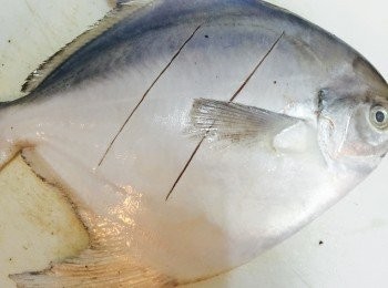 step1: 鯧魚先麻煩魚販將內臟去掉，回家後用清水將鯧魚內外洗淨。在鯧魚每邊斜?兩刀，方便入味。