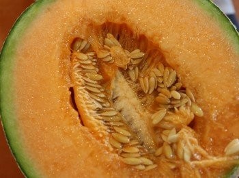 step3: 日本蜜瓜去皮切粒