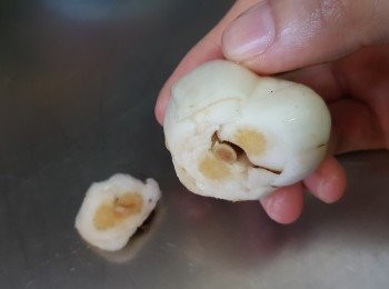 step2: 將新鮮百合去除包裝袋，用刀子切去底部，再除去不靚的表面、去掉雜質洗淨，瀝乾水