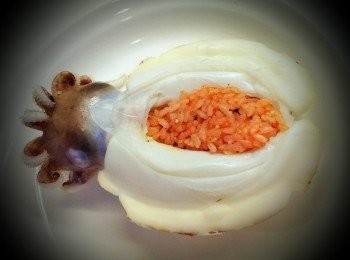 step6: 填裝入花枝