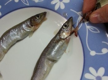 step1: 於<a href="https://cook1cook.com/shop/item/741?utm_source=cook1cook&utm_medium=recipeingredients&utm_campaign=o" target="_blank" data-keyword="多春魚" class="guide-link"><strong>多春魚</strong></a> <span style="display:inline-block;vertical-align:middle;margin-top:-3px;color:initial;border-radius:3px;padding:2px 3px;font-size:12px;line-height:14px;background:#87d300;color:#fff;">即買</span> 口部位置撕去魚鰓及腸