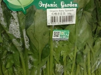 step1: 準備安田有機菠菜苗