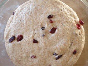 step6: 將麵團放在刷了油的容器裡，蓋上保鮮膜或濕毛巾，發酵至兩倍大。