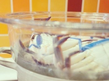 step5: 用上鑄鐵煲和玻璃蒸架，好處是一目了然知道海鮮的熟成度，一定不會過熟，壞處是較不鏽鋼蒸架傳熱慢。