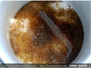 step3: 將黑木耳養生露取代水，倒在白米上，並稍微攪拌一下。
