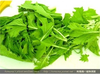 step2: 將水菜洗淨後，直接分切成段備用。