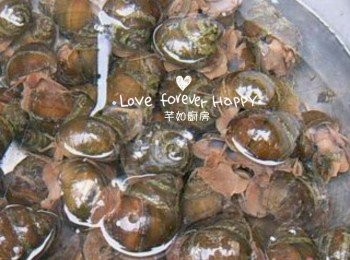 step1: 買回來的<a href="https://bit.ly/3C5mIwE" target="_blank" data-keyword="田螺" class="guide-link"><strong>田螺</strong></a> <span style="display:inline-block;vertical-align:middle;margin-top:-3px;color:initial;border-radius:3px;padding:2px 3px;font-size:12px;line-height:14px;background:#87d300;color:#fff;">即買</span> 用清水至少養1晚, 中途勤換水