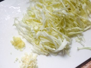 step1: 椰菜洗淨切絲，豆腐切粒備用。