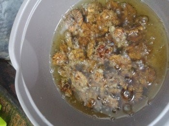 step3: 先用中火煲滾油。轉小火落合桃。不要貪快用中火會濃。一定全程用小火慢慢炸。約每1分鐘用筷子攪動一下。