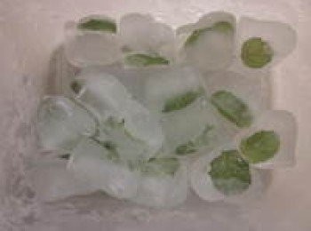 step3: 結凍後的薄荷冰塊存放保鮮盒,隨時可使用相當方便