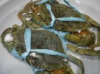 step1: 喺唔需要鬆綁 ，用牙刷先洗淨奄仔蟹。
放冰水凍暈奄仔蟹 或洗淨後放冰箱一個鐘。