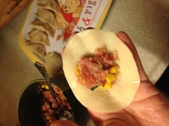 step5: 將大概1茶匙的材料放在餃子皮中間