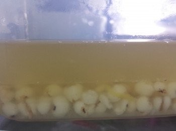 step6: 放涼後加入檸檬汁拌勻，放涼備用。