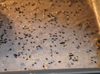 step5: 並在表面灑上黑/白芝麻粒