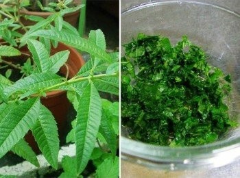 step2: 檸檬馬鞭草只摘取葉子洗淨擦乾ˊ然然切細末備用