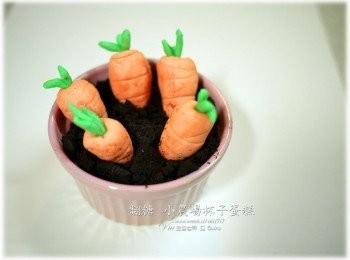 step11: 最後胡蘿蘿插進土裡，一盆紅蘿蔔即栽種完成